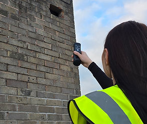 surveyor on roost mapping survey
