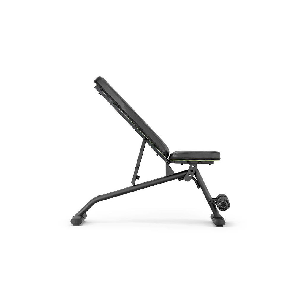 パフォーマンスユーティリティベンチ | プロアバンセ フィットネス