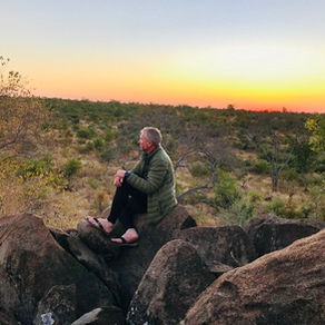 Eco-therapy: The Walking and Talking Cure