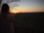 walking safari, safari, adventure, leadership, performance motivation, accelerate performance, creative problemsolving, innovative thinking, mindfulness