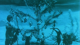  INSECT’S CHRISTMAS