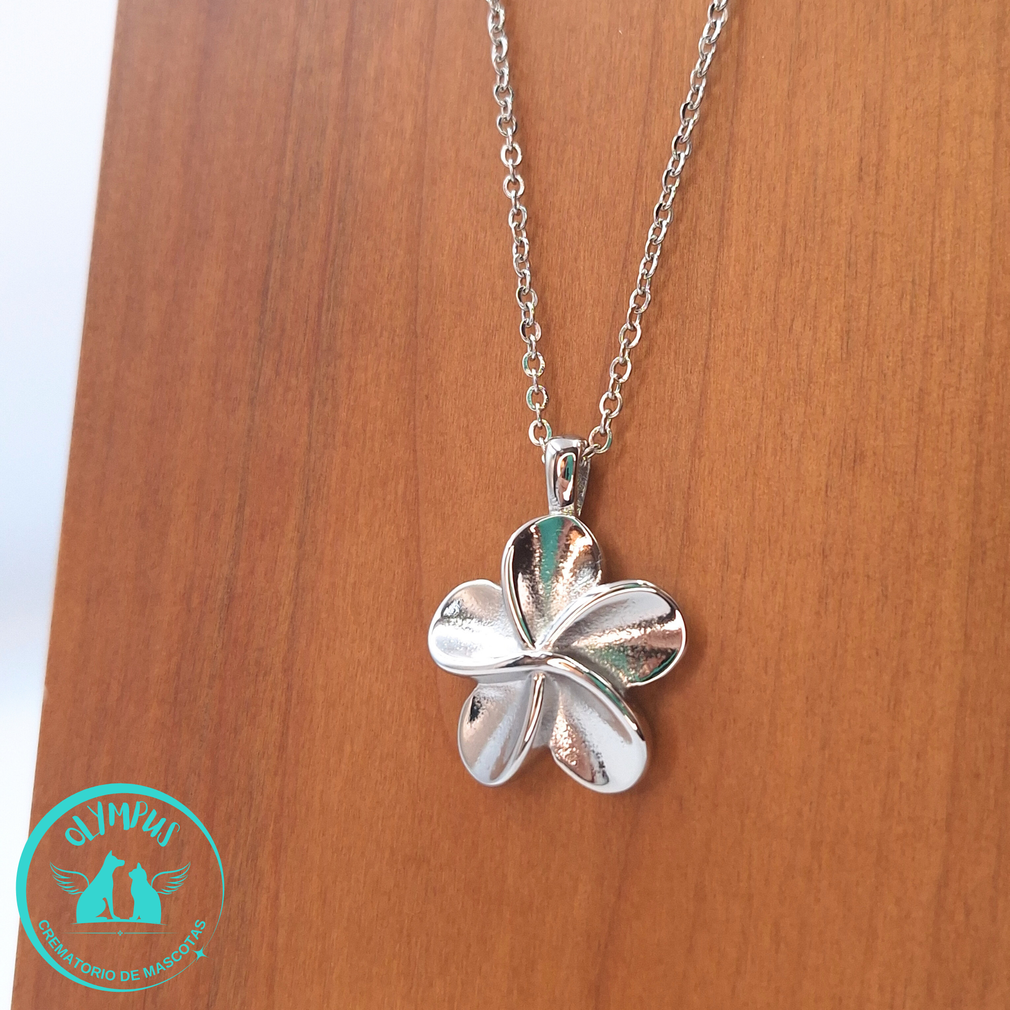 Relicario flor plata