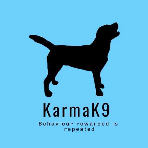 K9 karma store dog training