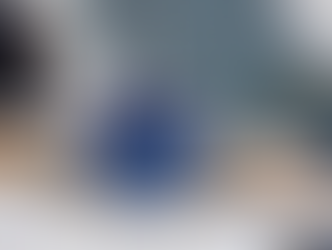 pantor Seahorse dive watch