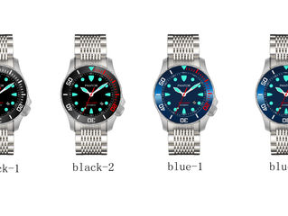 Why do people like dive watches so much?
