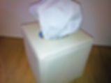 Leather covered tissue box cover