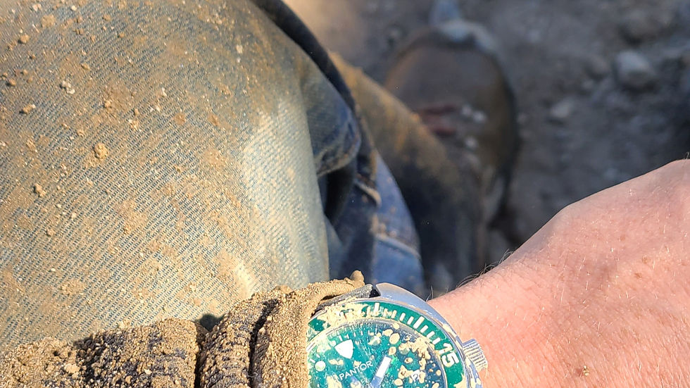 Pantor Sealion 300m/660ft Diving Watch