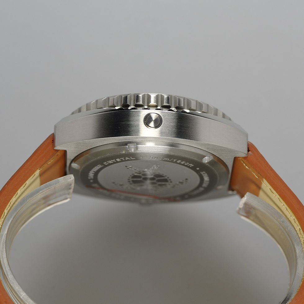 Thumbnail: Pantor Sea Turtle diving watch _ 500m diver watches with leather strap