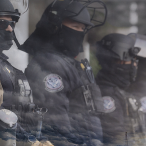 Future Not Good for the ICE Thugs