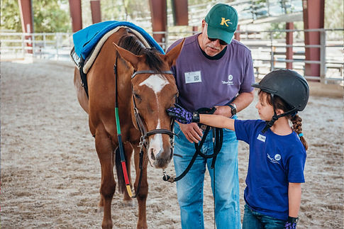 Best-Place-To-Volunteer-Orange-County-Animals-Horse-Therapy-1024x683.jpg