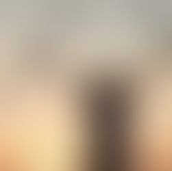 The Truth Behind Miracles—And How to Receive More