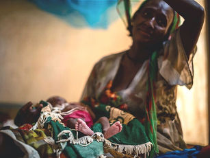 Ethnic Cleansing in Ethiopia