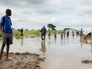 Help South Sudan: Devastated by Climate Shock and War