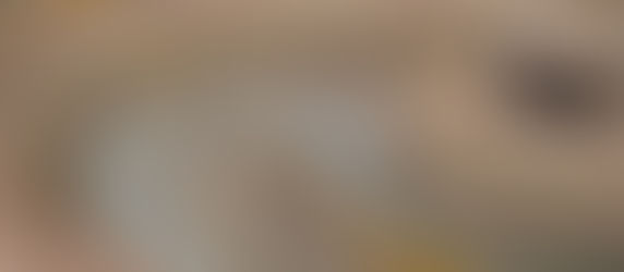 Design Build Part 3: Design & Communication