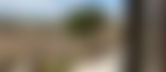 Sustainable Design in Architecture