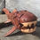 Thumbnail: Dunkleosteus