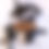 Thumbnail: Orca