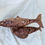 Thumbnail: Right Whale