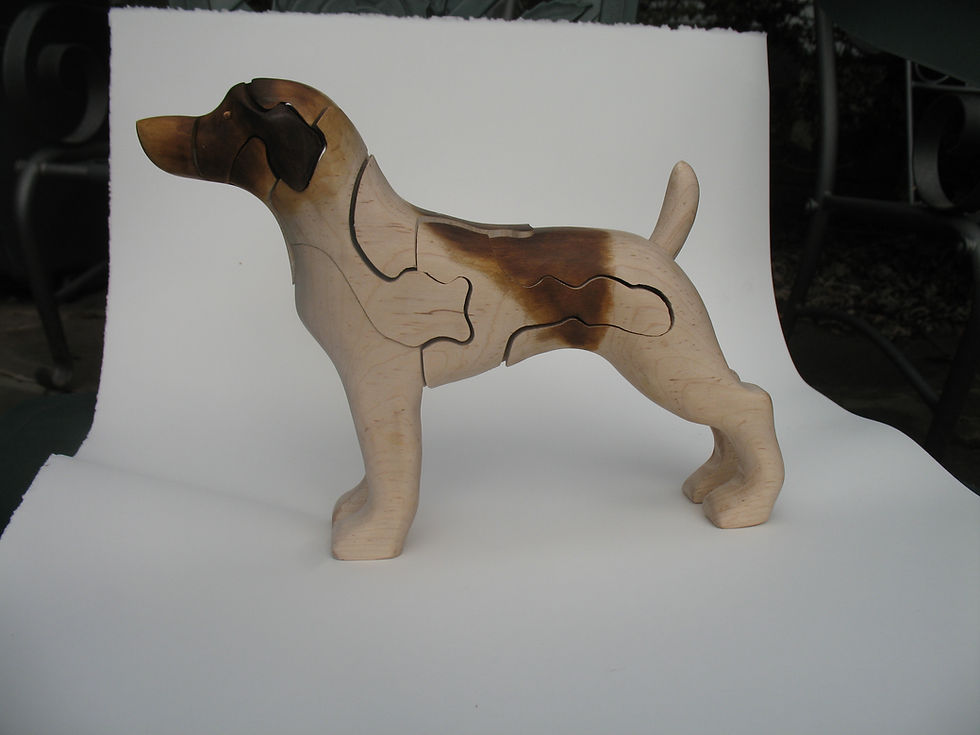 Thumbnail: DOGS!