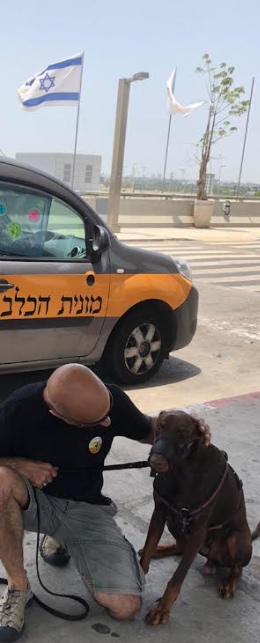 הסעה לכלב/הסעה לכלבים/הסעות כלבים/הסעות לכלבים/הסעת בעלי חיים /הסעות לבעלי חיים/הסעות בעלי חיים/אמבולנס חיות/מונית שלוקחת כלבים/ מונית עם כלב/מונית ידידותית לכלבים/רילוקיישן עם כלב/מונית לחתול/הסעה לוטרינר /אמבולנס לחיות/הסעת כלב לנתב"ג/מונית שלוקחת חתולים /מונית הכלב/הסעה לחיות מחמד/מונית-הכלב/אמבולנס לכלבים/אמבולנס לכלב/