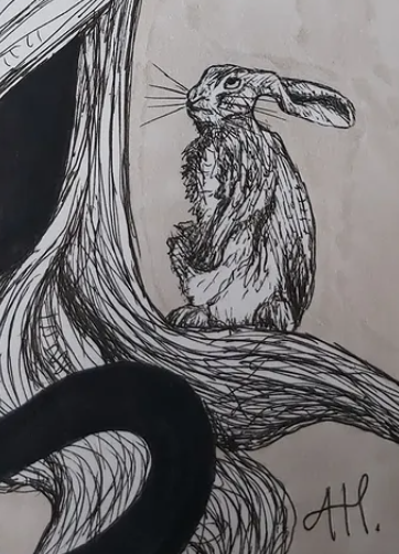 Hare