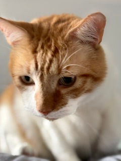 Tyson M 9 years