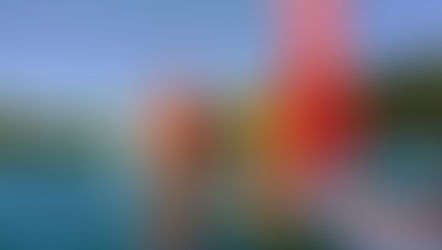 Sun, sea and - well more sun.