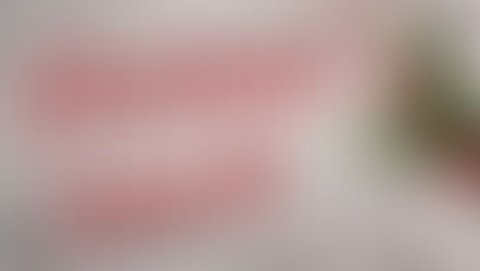 Dart Sailability Christmas Lunch