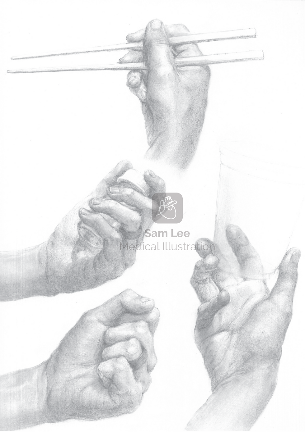 Hand Studies