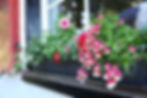 Ferienhaus Elfriede