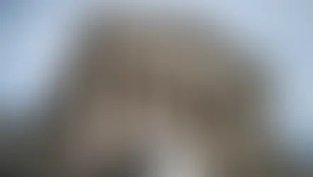 United States v. Hemani : l'affaire qui pourrait redéfinir les limites du droit de porter des armes