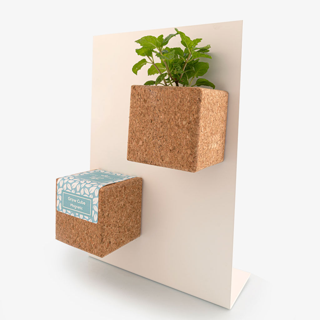 GROW CUBE TOURNESOL