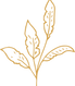 Masakali 2.png