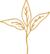 Masakali 3.png