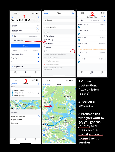Skärmbild 2024-08-12 175438.png