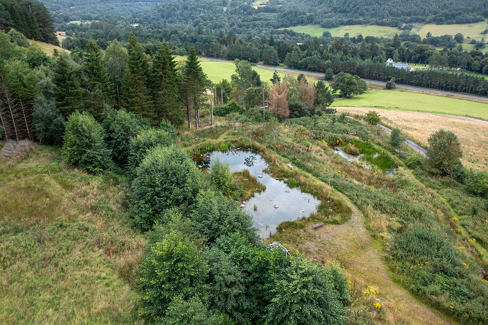 DJI_0034.jpg