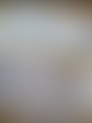 Visana Sprint Schweizerfinal in Winterthur 17.09.2022