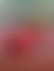 Trainingslager Kerenzerberg April 2023