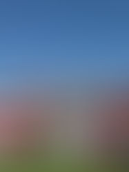 UBS Kids Cup - Lokalausscheidung Zofingen 2026