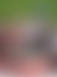 UBS Kids Cup Schweizerfinal Zürich, 11.09.2021