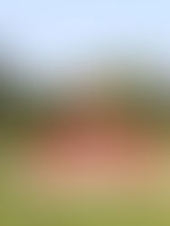 Schweizermeisterschaften im Mehrkampf der Aktiven in Kreuzlingen 18. / 19.06.2022