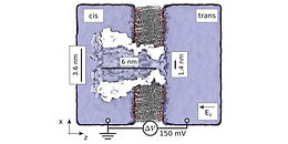 Controlling Electroosmosis in Nanopores Without Altering the Nanopore Sensing Region