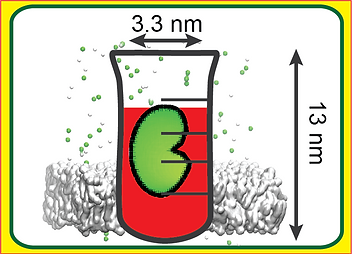A Nanoscale Test Tube