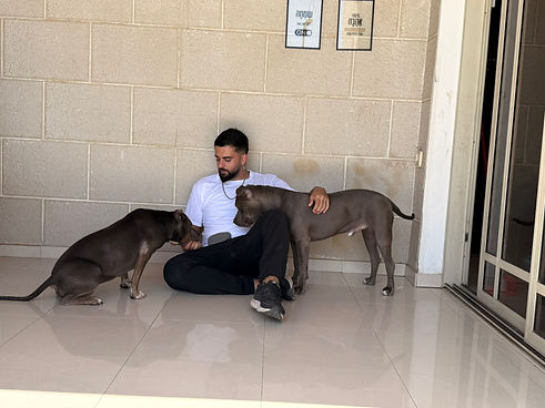 מאלף כלבים באילת