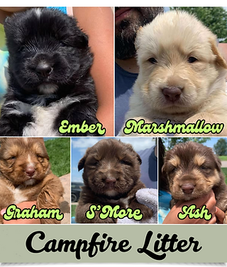 Campfire Litter.png