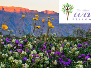 What if We Missed the Basics?