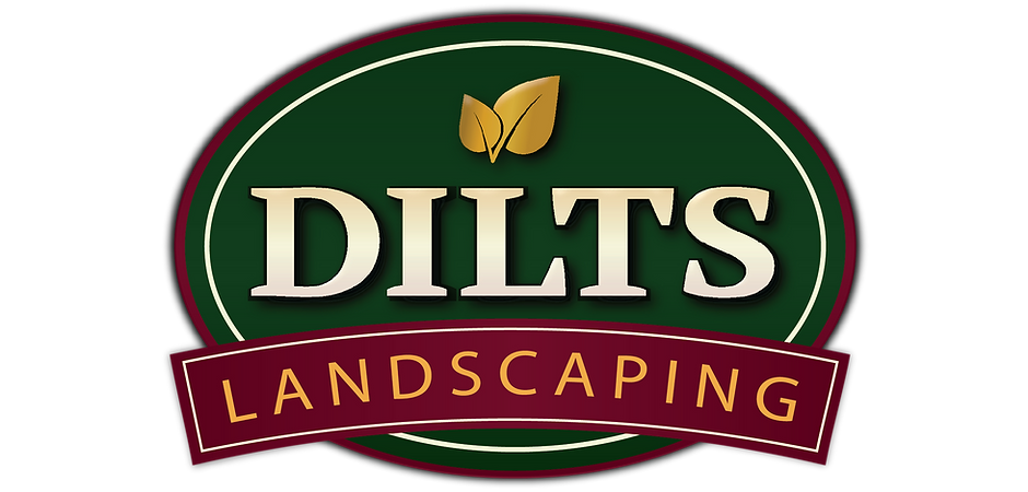 Dilts logo.png