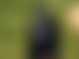 No more disappointment, it’s now or never for Aaron Boone and the 2021 Yankees.