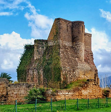20241225_134701 (1) copia.jpg