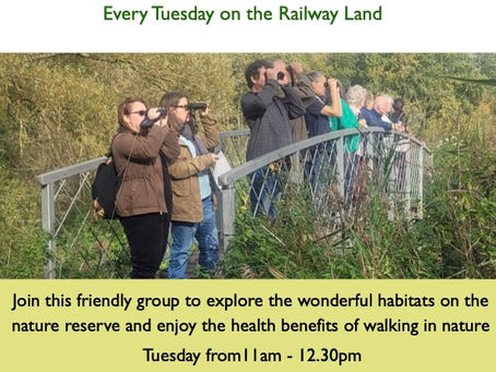 Nature Wanders at the Railway Land